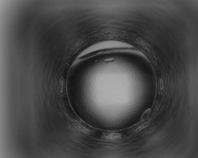 X0000052600463200507160015