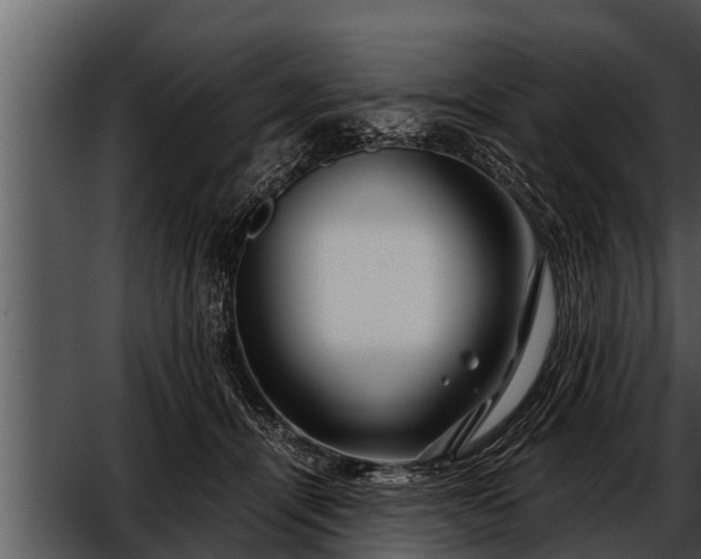 X0000052600464200507160015