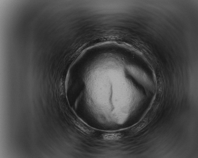 X0000052600465200507160015