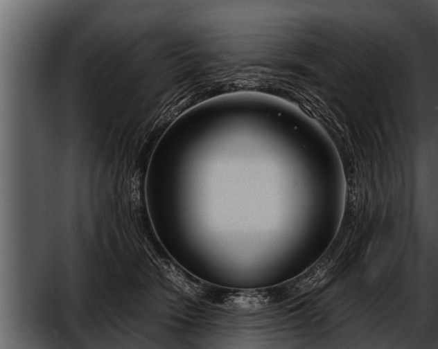 X0000052600466200507160015