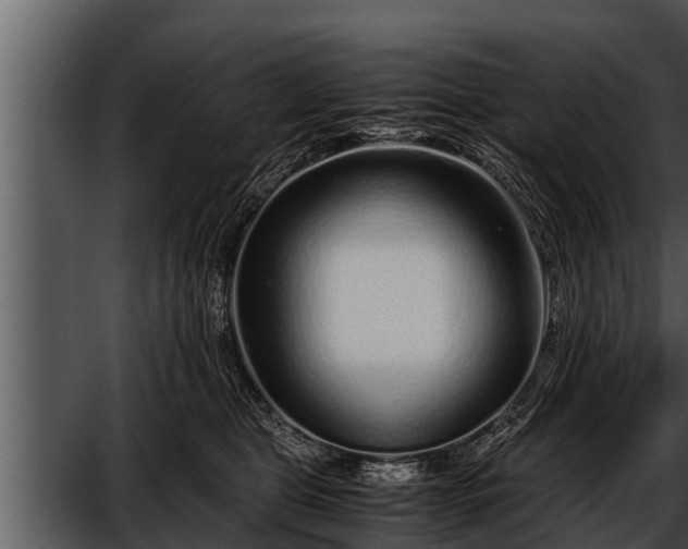 X0000052600469200507160016