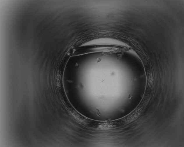 X0000052600470200507160016