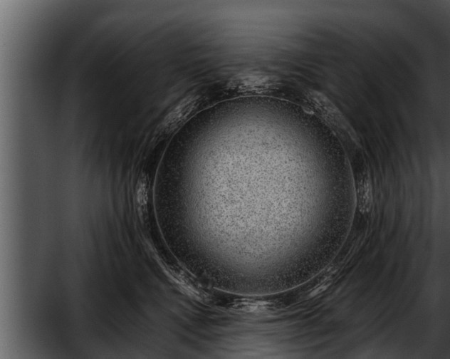 X0000052600472200507160016