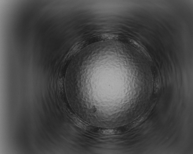 X0000052600473200507160016