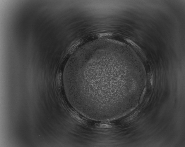 X0000052600475200507160016