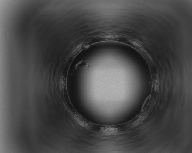 X0000052600476200507160016