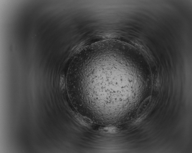 X0000052600478200507160016