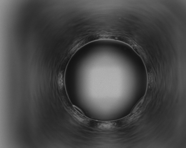 X0000052600479200507160016