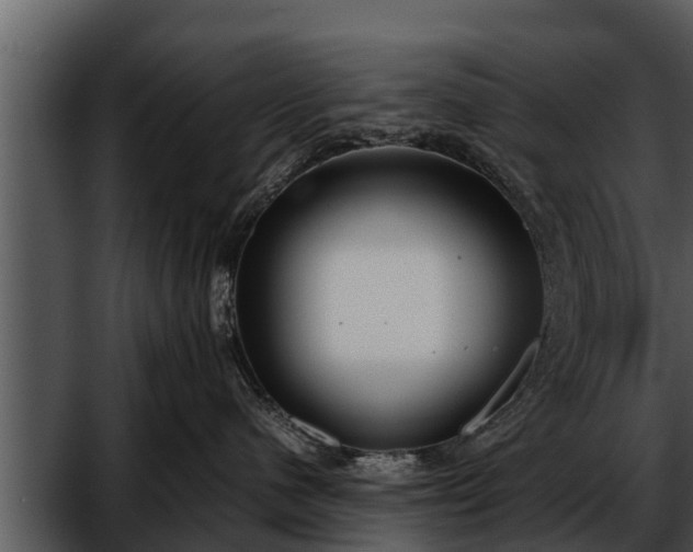 X0000052600480200507160016