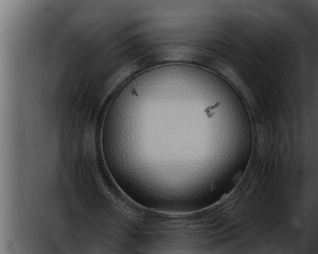 X0000052600482200507160015