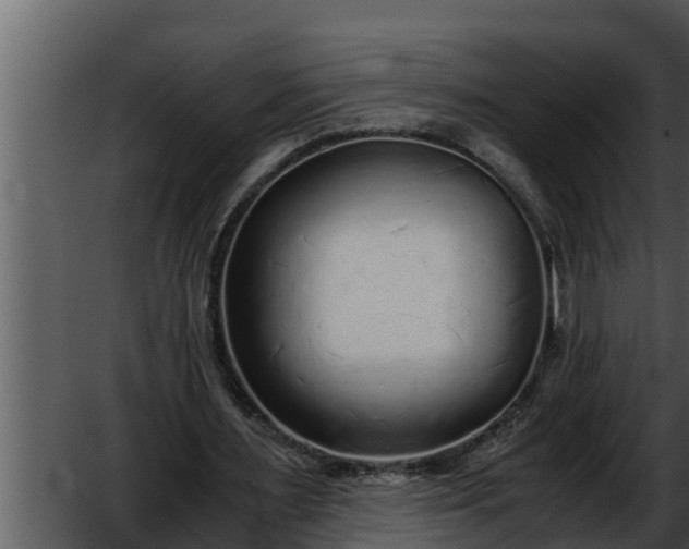 X0000052600483200507160015