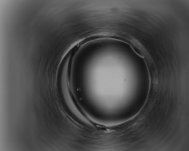 X0000052600484200507160015