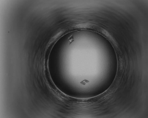 X0000052600486200507160015