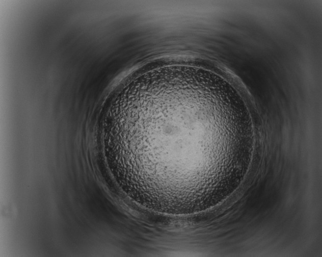 X0000052600487200507160015