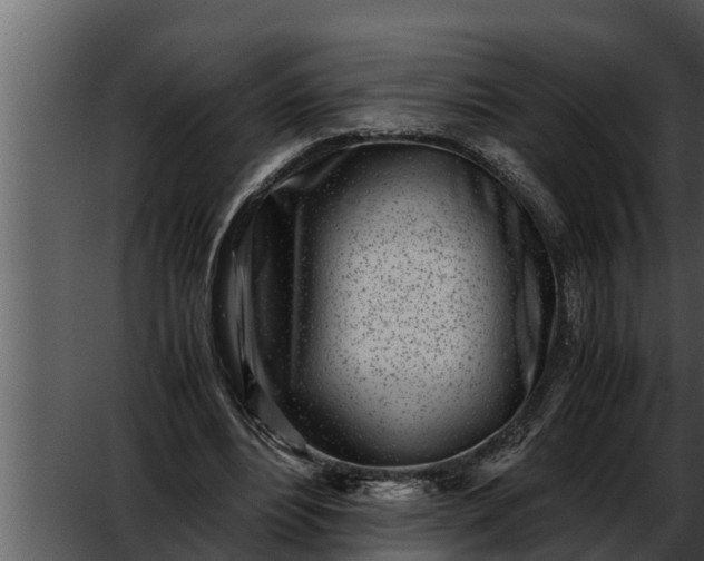 X0000052600488200507160015