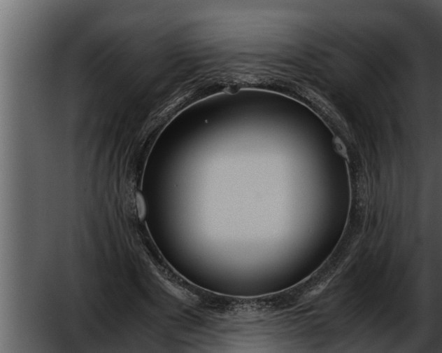 X0000052600489200507160015