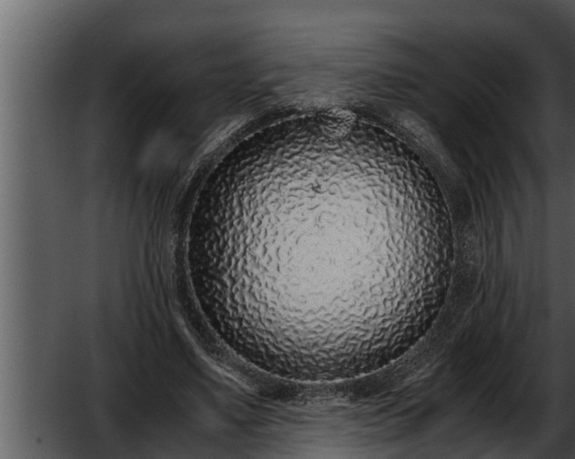 X0000052600491200507160015