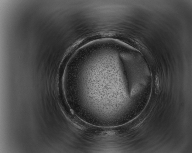 X0000052600492200507160015