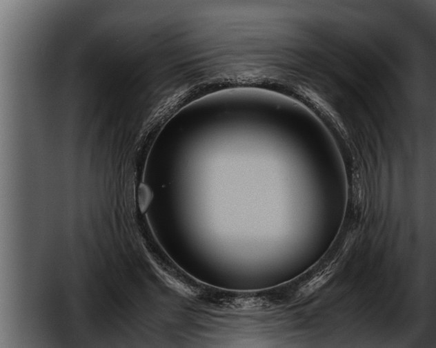 X0000052600493200507160015