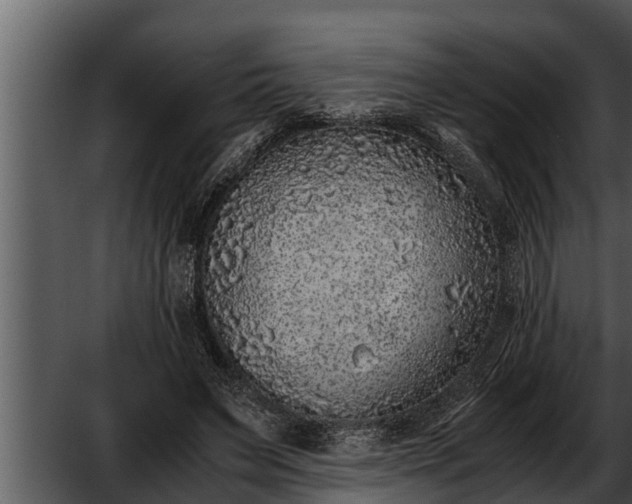 X0000052600495200507160015