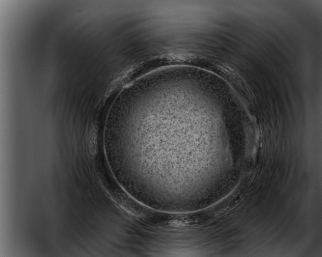 X0000052600496200507160015