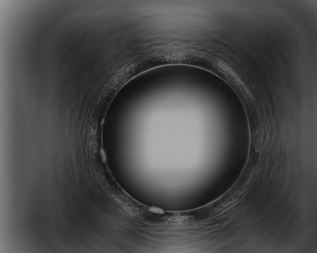 X0000052600497200507160015