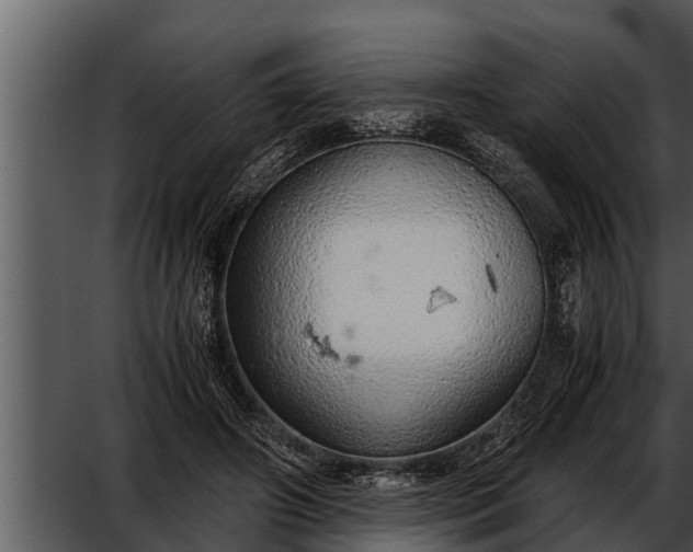 X0000052600498200507160015