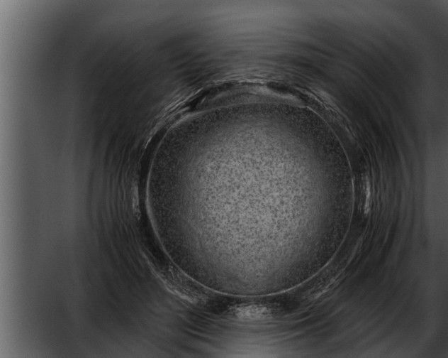 X0000052600500200507160015