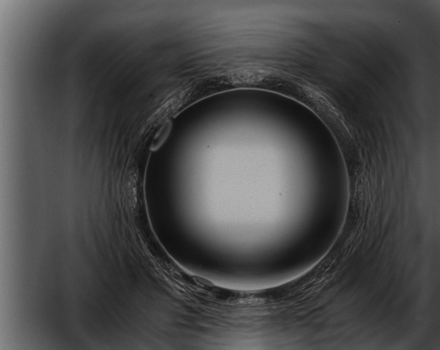 X0000052600501200507160015