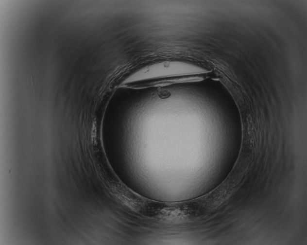 X0000052600502200507160015