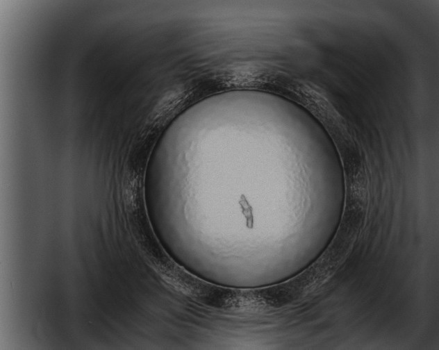 X0000052600503200507160014