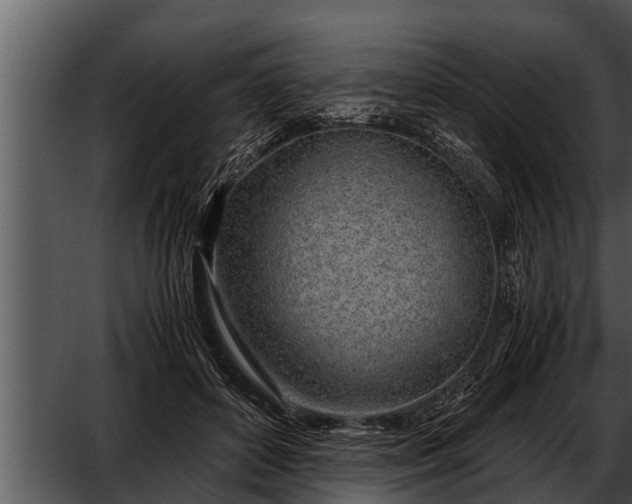 X0000052600504200507160014