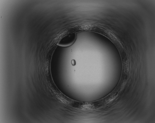 X0000052600505200507160014