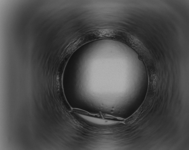 X0000052600506200507160014