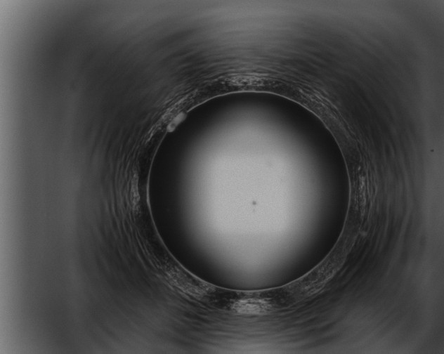 X0000052600508200507160014