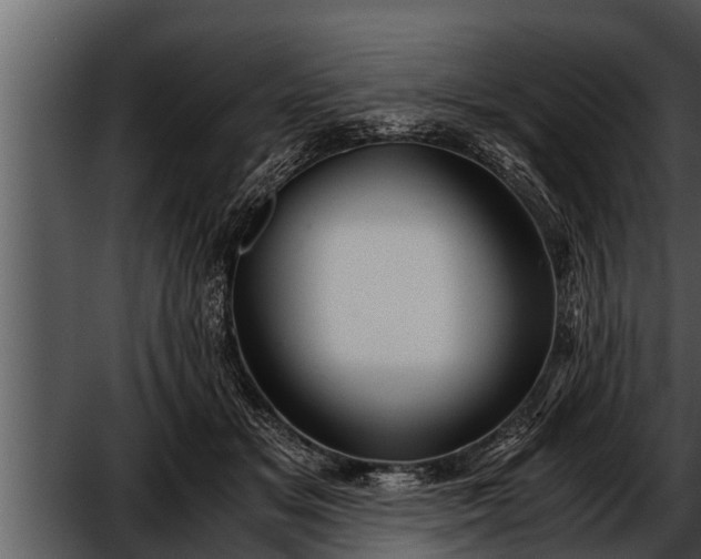 X0000052600509200507160014