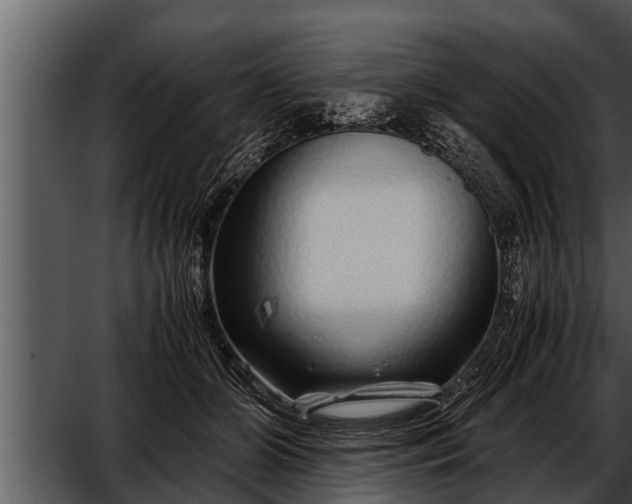 X0000052600510200507160014