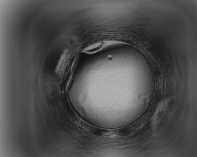 X0000052600511200507160014