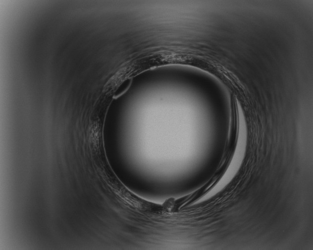 X0000052600513200507160014