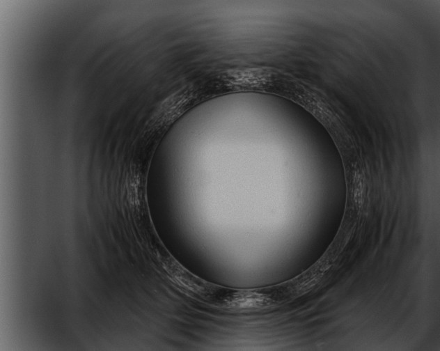 X0000052600514200507160014