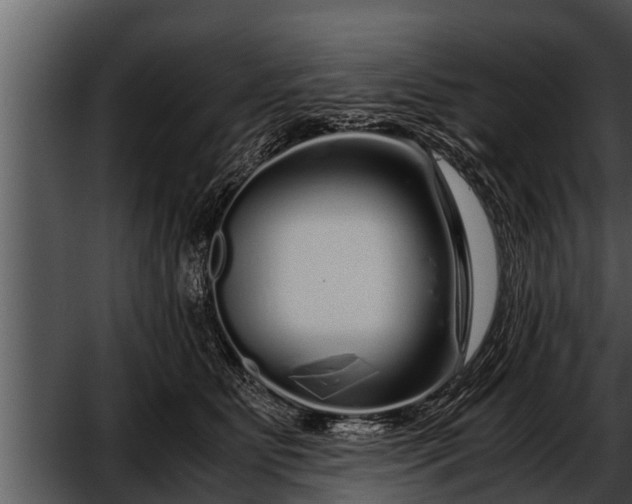 X0000052600515200507160014