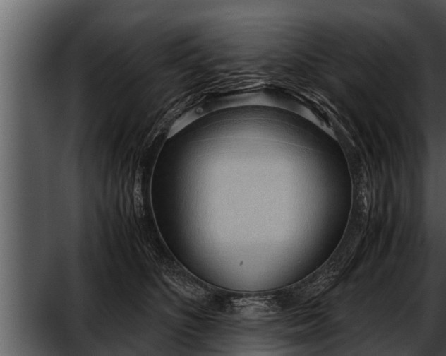 X0000052600516200507160014