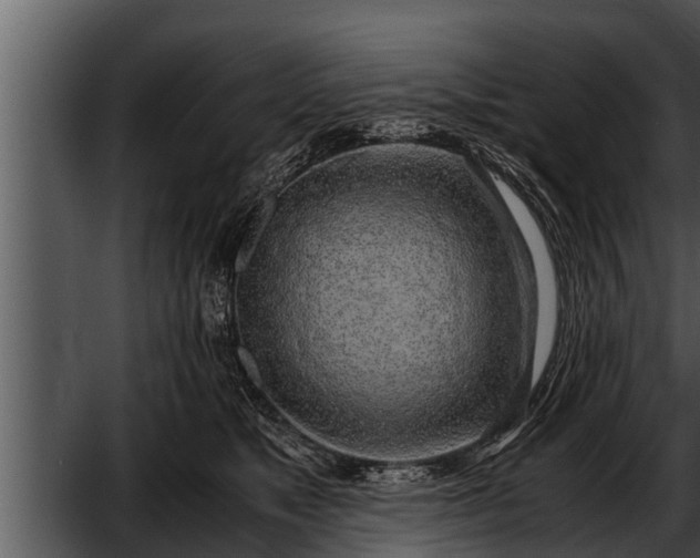 X0000052600517200507160014