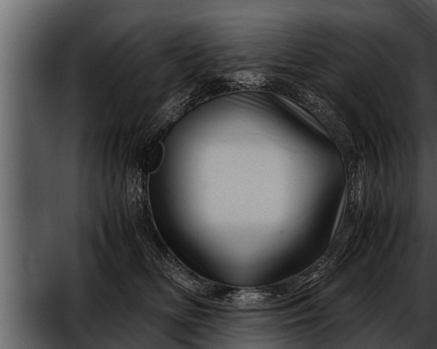 X0000052600518200507160014