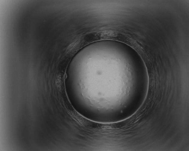 X0000052600519200507160014