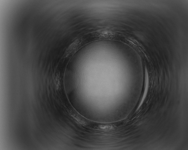 X0000052600520200507160014