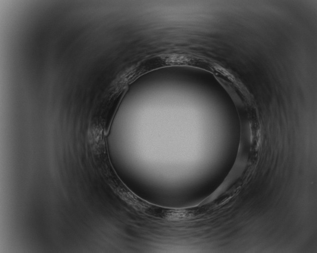 X0000052600521200507160014