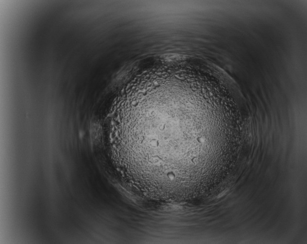 X0000052600523200507160014