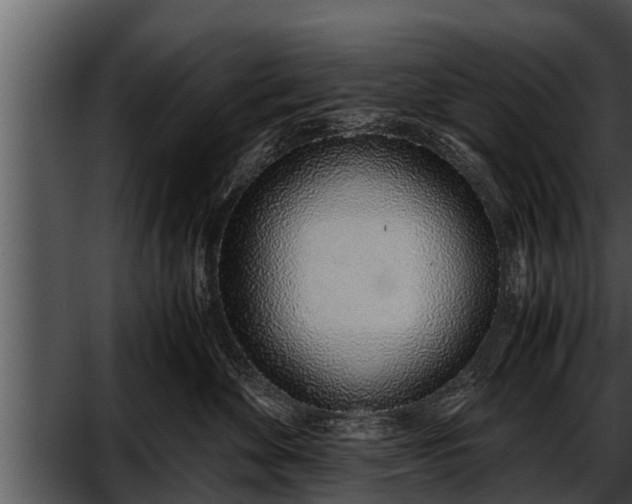 X0000052600524200507160014