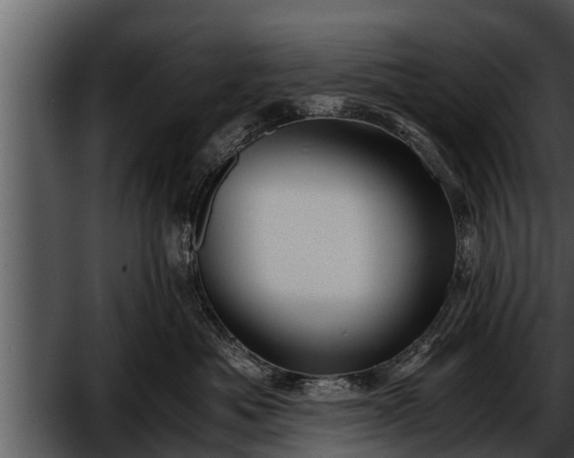 X0000052600525200507160014